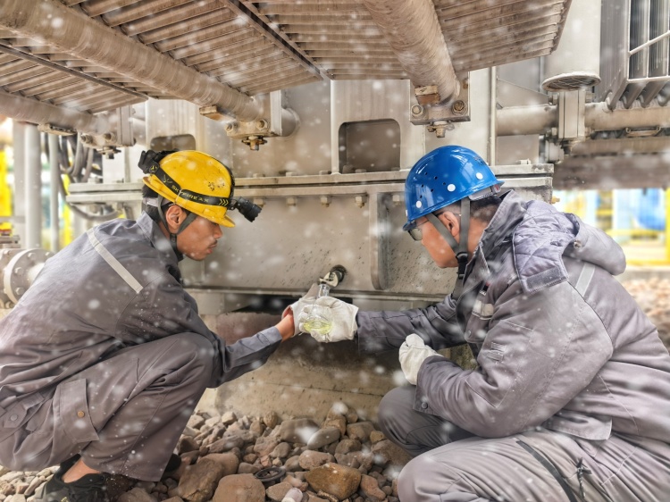 1769046045327394.jpg 4.jpg