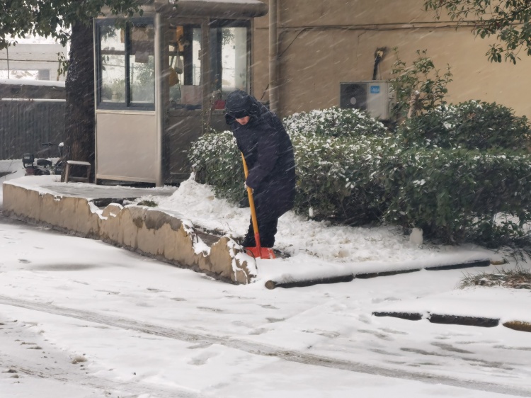 1769046056756184.jpg 5-1.jpg